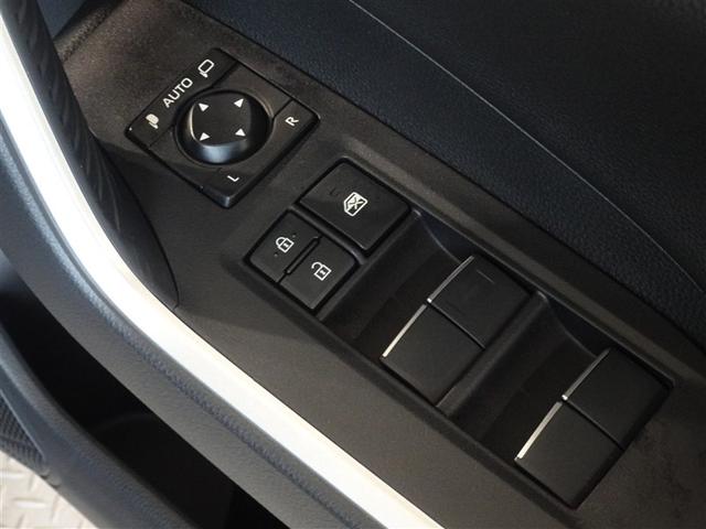 �d���i�[���h�A�~���[�E�p���[�E�C���h�E�𑕔����Ă��܂��B