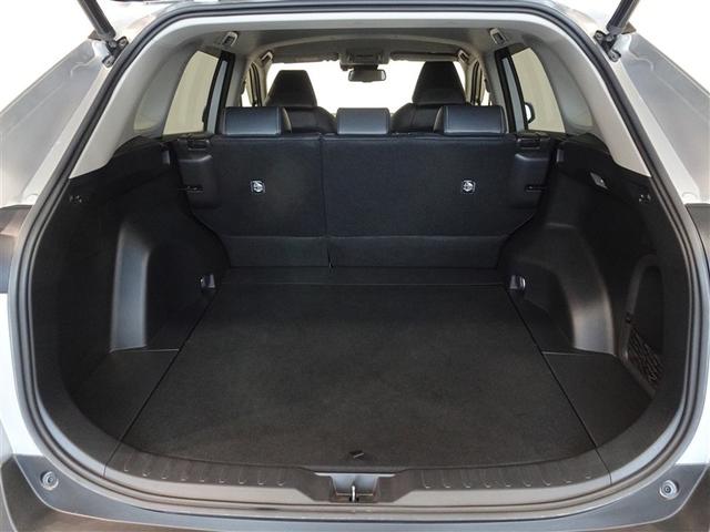 �T�l��Ԏ��ł��\���ȃX�y�[�X�̃g�����N���[���ł��B