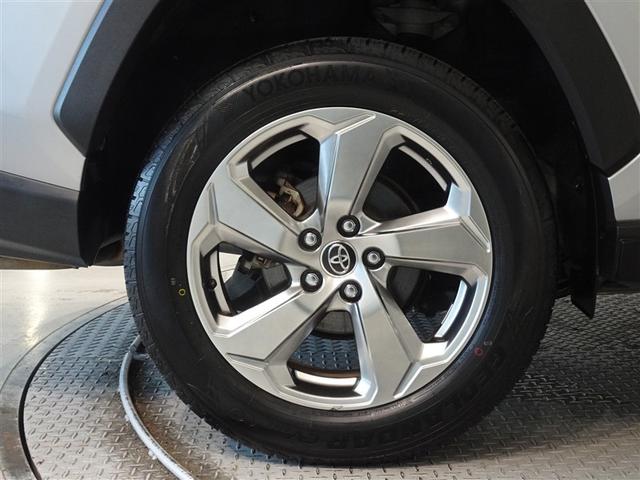 �������Ƒ����������������A�����A���~�𑕔����Ă��܂��B