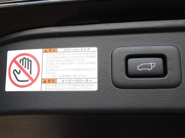 アルファード ２．５Ｓ　Ｃパッケージ　衝突被害軽減システム　メモリーナビ　フルセグ　後席モニター　バックカメラ　ＥＴＣ　サンルーフ　両側電動スライド　３列シート　ＬＥＤヘッドランプ　スマートキー　乗車定員７人（28枚目）