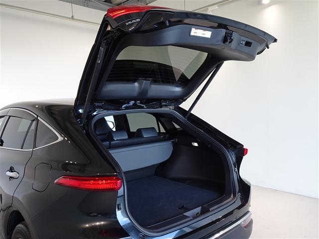 �o�b�N�h�A���J������Ԃł��B