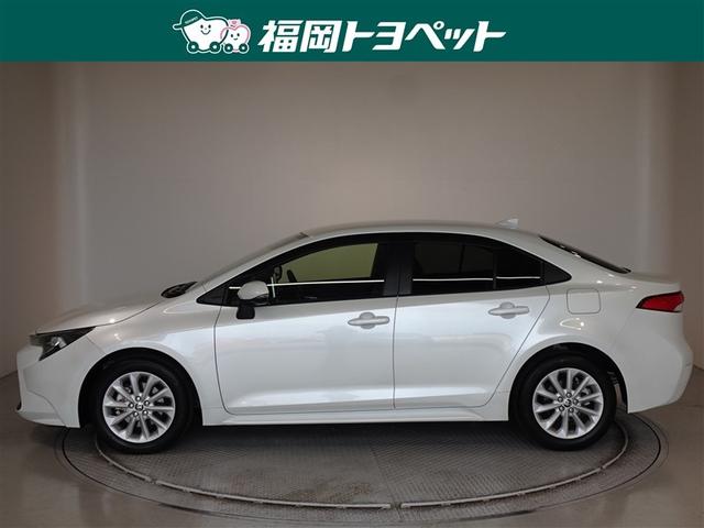 �g���^�̐l�C�J���[���V���[�Y�A�J���[���Z�_���@�r�����ׂ��܂����B