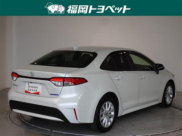 �F�͐l�C�̃v���`�i�z���C�g�p�[���}�C�J�ł��B