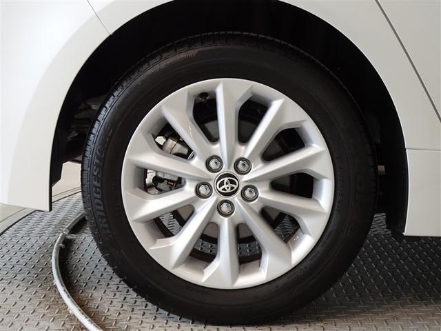 �������Ƒ����������������A�����A���~�𑕔����Ă��܂��B