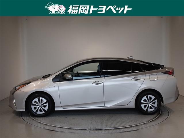 �R������s���\���ǂ��T�O�n�v���E�X�@�`�����ׂ��܂����B