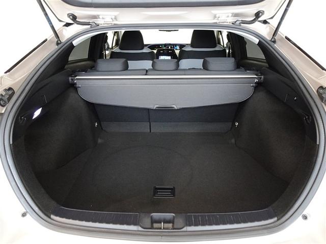 �T�l��Ԏ��ł��\���ȃX�y�[�X�̃g�����N���[���ł��B