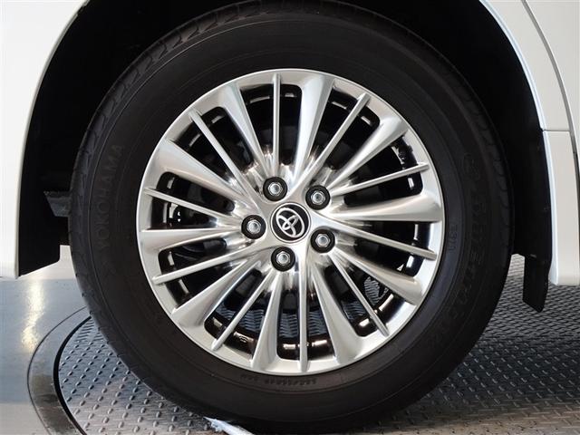 �������Ƒ����������������A�����A���~�𑕔����Ă��܂��B