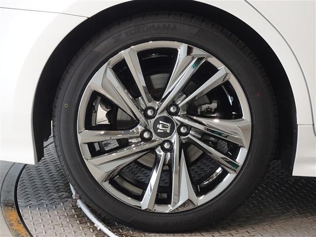 �������Ƒ����������������A�����A���~�𑕔����Ă��܂��B