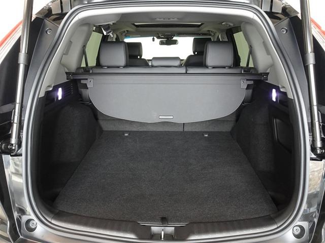 �T�l��Ԏ��ł��\���ȃX�y�[�X�̃g�����N���[���ł��B