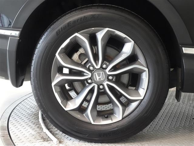 �������Ƒ����������������A�����A���~�𑕔����Ă��܂��B