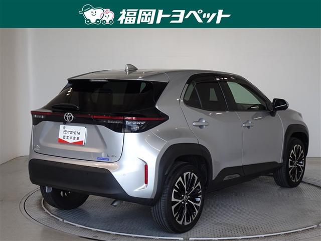 �F�͐����ȃV���o�[���^���b�N�ł��B