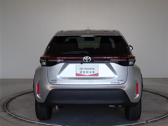 �c�J���̃o�b�N�h�A�ł��A�J�̓����G��ɂ����ł���B