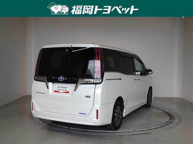 �F�͐l�C�̃z���C�g�p�[���N���X�^���V���C���ł��B