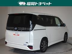 ���Ͽ͵��Υۥ磻�ȥѡ��륯�ꥹ���륷�㥤��Ǥ��� 3