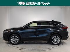 �ȥ西�ο͵��ӣգ֡��ϥꥢ�����ڤ����٤��ޤ����� 2