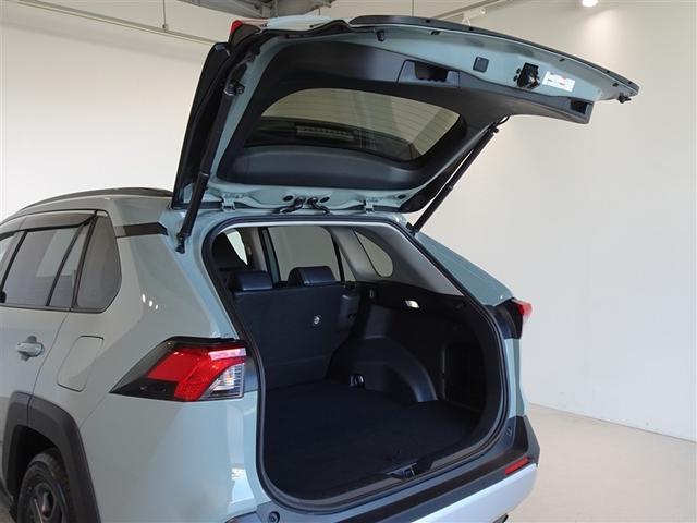 ＲＡＶ４ アドベンチャー　衝突被害軽減システム　メモリーナビ　フルセグ　バックカメラ　ＥＴＣ　ＬＥＤヘッドランプ　４ＷＤ　スマートキー（23枚目）