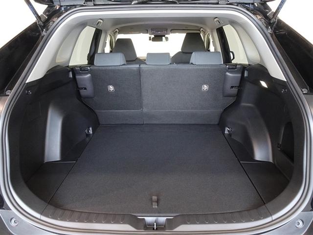 ＲＡＶ４ Ｘ　衝突被害軽減システム　メモリーナビ　フルセグ　バックカメラ　ＥＴＣ　ドラレコ　ＬＥＤヘッドランプ　４ＷＤ　スマートキー（20枚目）