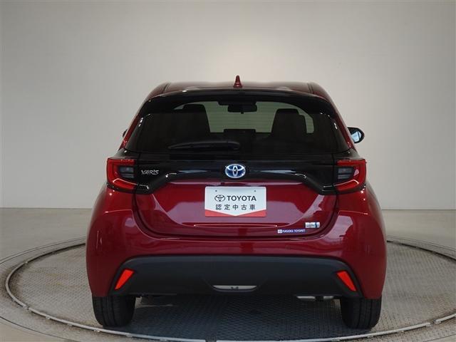 �c�J���̃o�b�N�h�A�ł��A�J�̓����G��ɂ����ł���B