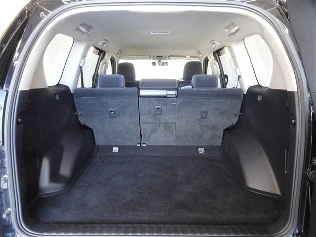 �T�l��Ԏ��ł��\���ȃX�y�[�X�̃g�����N���[���ł��B