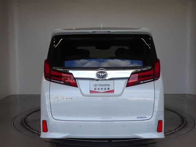 �c�J���̃o�b�N�h�A�ł��A�J�̓����G��ɂ����ł���B