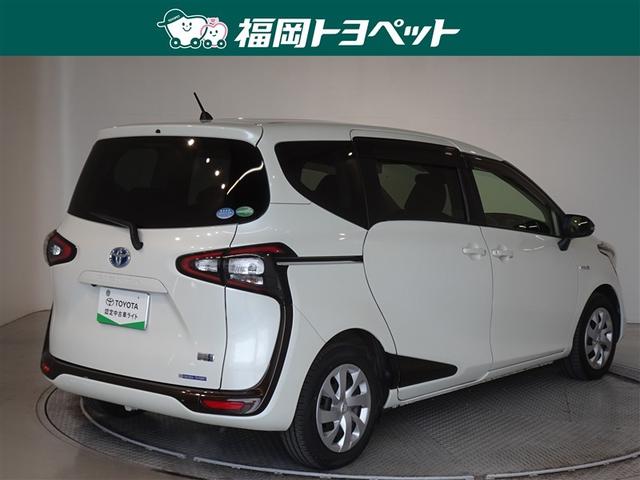 �F�͐l�C�̃z���C�g�p�[���N���X�^���V���C���ł��B