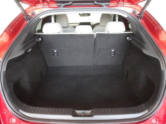 �T�l��Ԏ��ł��\���ȃX�y�[�X�̃g�����N���[���ł��B