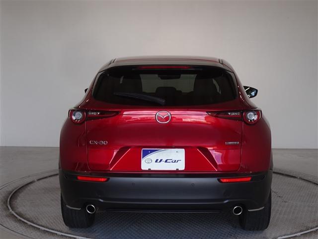 �c�J���̃o�b�N�h�A�ł��A�J�̓����G��ɂ����ł���B