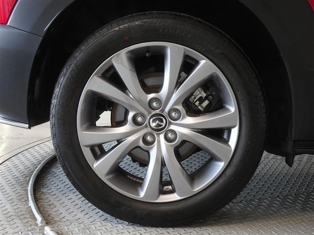 �������Ƒ����������������A�����A���~�𑕔����Ă��܂��B