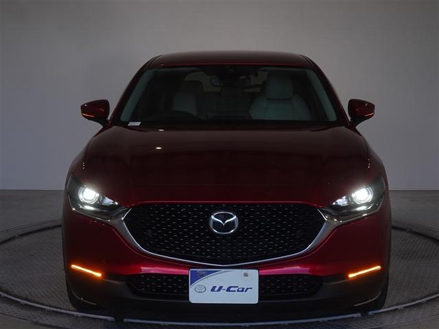 ��Ԃ̃��C�e�B���O��\�����Ă݂܂����B�w�b�h�����v�͂k�d�c�A�ȃG�l�Ŗ��邢�ł���B