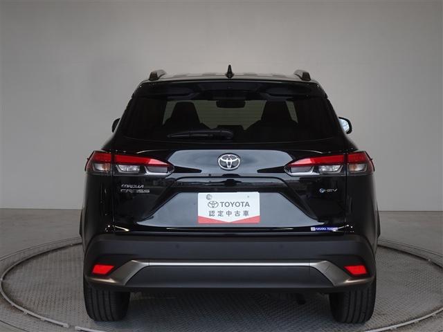 �c�J���̃o�b�N�h�A�ł��A�J�̓����G��ɂ����ł���B