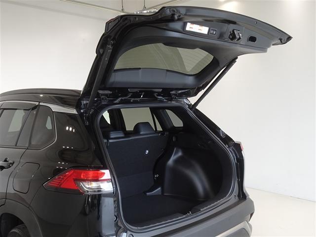 �o�b�N�h�A���J������Ԃł��B