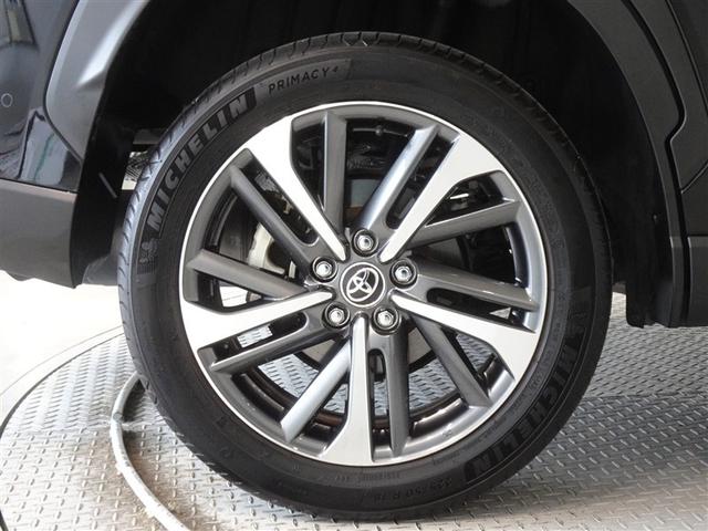 �������Ƒ����������������A�����A���~�𑕔����Ă��܂��B