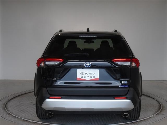 �c�J���̃o�b�N�h�A�ł��A�J�̓����G��ɂ����ł���B