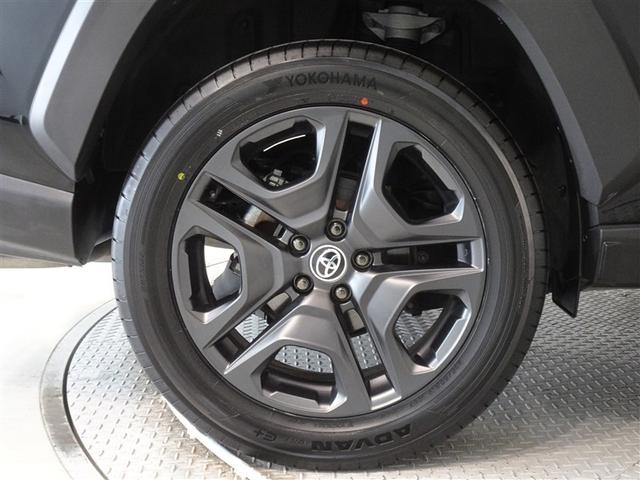 �������Ƒ����������������A�����A���~�𑕔����Ă��܂��B