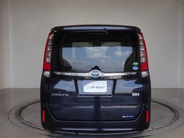 �c�J���̃o�b�N�h�A�ł��A�J�̓����G��ɂ����ł���B