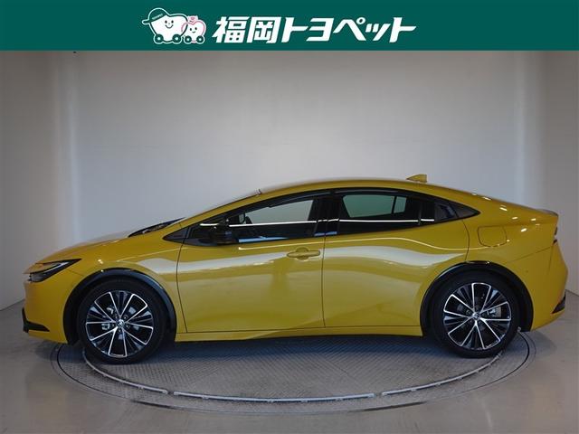 ���s�^�̃v���E�X�@�y�����ׂ��܂����B