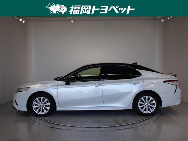 �g���^�̏㋉�Z�_���A�J�����@�v�r�����ׂ��܂����B