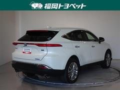 ���Ͽ͵��Υۥ磻�ȥѡ��륯�ꥹ���륷�㥤��Ǥ��� 3