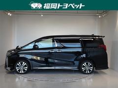 ȥ西ξߥ˥Х󡢥եɡӡåѥå٤ޤǤ 2