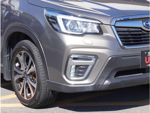 フォレスター プレミアム　三菱認定保証　衝突被害軽減ブレーキ　記録簿　衝突軽減Ｂ　横滑り防止　エアバッグ　電動パワーシート　メモリーナビ　クルコン　ＤＶＤ再生　ワンオーナー車　ＡＢＳ　Ｓカメラ　スマートキー　オートエアコン（16枚目）