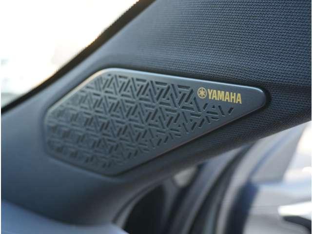 �x�`�l�`�g�`�T�E���h�t���Ă���܂��B