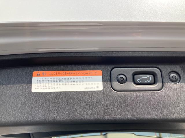 デリカD:5 シャモニー 三菱認定UCARプレミアム保証 フルセグナビ アイドリングS アクティブクルーズコントロール イモビ 衝突被害軽減装置 Bモニター 1オーナー サイドカメラ ETC 助手席エアバッグ 地デジTV(32枚目)