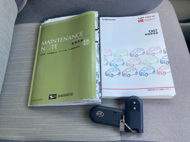 キャスト スタイルＸ　ＳＡＩＩＩ　三菱認定ナビＥＴＣドラレコ（50枚目）