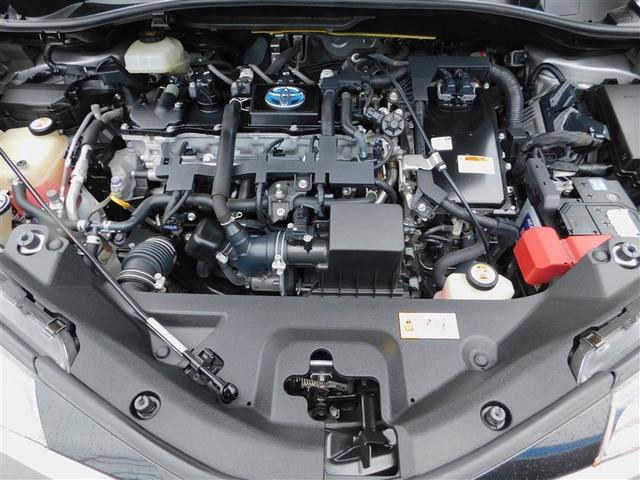 �P�D�W�k�G���W���{�n�C�u���b�h�V�X�e��