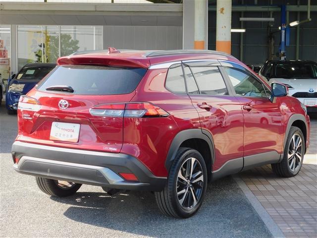 �X�|�[�e�B�[�ȃ����X�^�C��