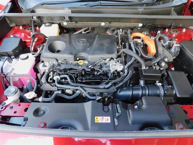 �Q�D�T�k�_�C�i�~�b�N�t�H�[�X�G���W���{�n�C�u���b�h�V�X�e��