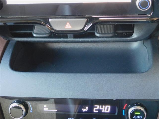 �Z���^�[�I�[�v���g���C