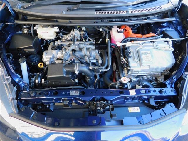 �P�D�T�k�G���W���{�n�C�u���b�h�V�X�e��