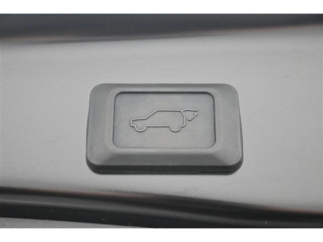 ＲＡＶ４ Ｇ　Ｒカメラ　衝突軽減Ｂ　ＥＴＣ搭載　アルミ　クルーズＣ　ナビＴＶ　ＥＳＣ　フルセグテレビ　ドラレコ付き　パワーステアリング　キーフリー　ＬＥＤライト　エアコン　イモビライザー　ＤＶＤ　パワーウインドウ（11枚目）