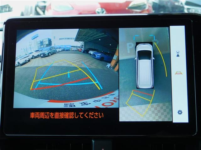 �p�m���}�~�b�N�r���[���j�^�[